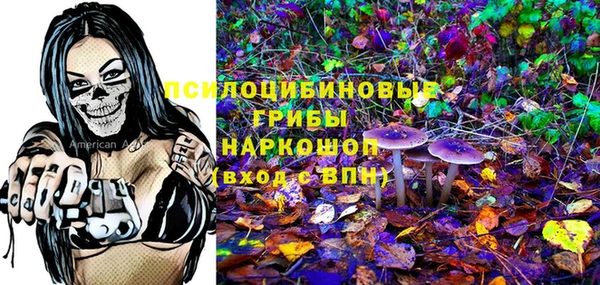 ГАЛЛЮЦИНОГЕННЫЕ ГРИБЫ Алексеевка