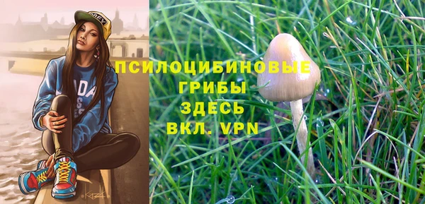каннабис Алексин
