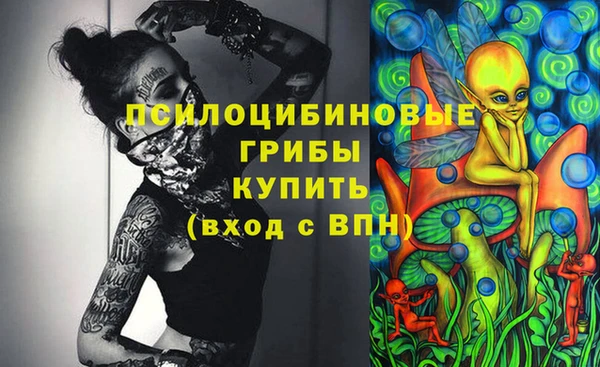 ГАЛЛЮЦИНОГЕННЫЕ ГРИБЫ Алексеевка